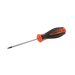Šroubovák TORX T40 S2, FESTA