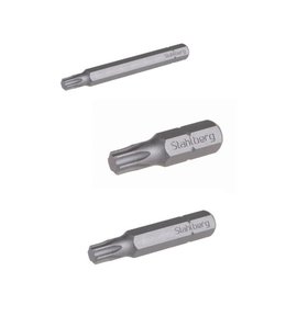 Bit T 10, 25 mm, S2, 2 ks, ENPRO