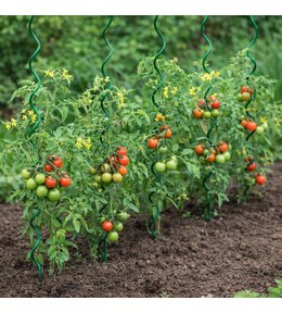 Tyč k rajčatům spirálová, 180 cm x 6 mm, komaxit, zelená