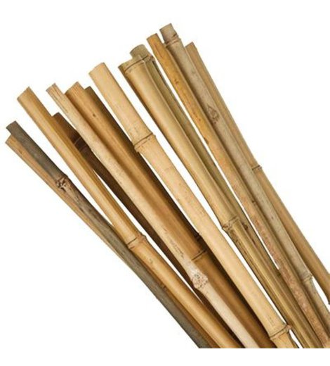 Tyč bamboo, průměr 1 - 1,5 cm, délka 70 cm
