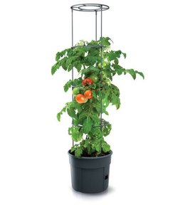 Květináč na pěstování rajčat, 29,5 cm, max. výška: 115,2 cm, antracit, TOMATO GROWER