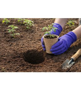 Sadbovač papírový Ø 6 x 6 cm, bal. 36 ks