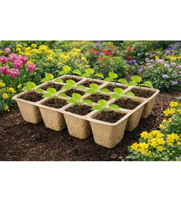 Sadbovač papírový 21 x 17 x 5 cm, bal. 5 ks