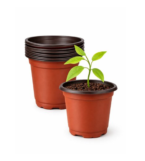 Sadbovač plastový Ø 9 x 6,8 cm, bal. 10 ks