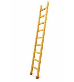 Žebřík dřevěný opěrný, 9 příček, 2,95 m, ENPRO PROFI